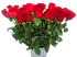 Фридом